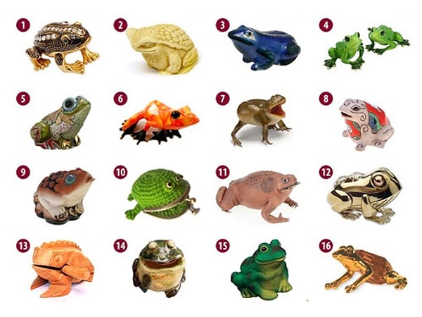 Закройте глаза, представьте много денег и выберите лягушку, основываясь на своих внутренних ощущениях, а затем нажмите на ее номер: