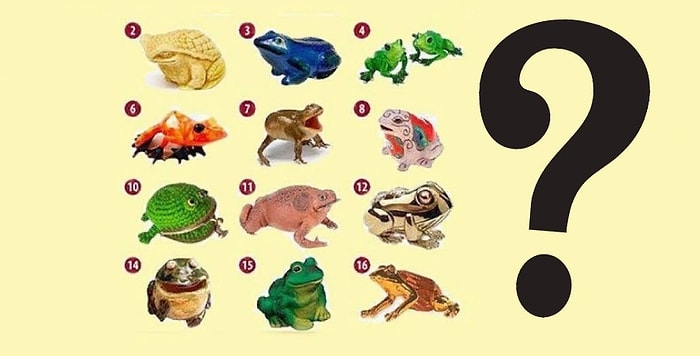 Тест: Выберите лягушку и узнайте свой путь к богатству