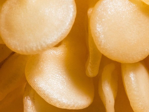 5. Что это такое на картинке?