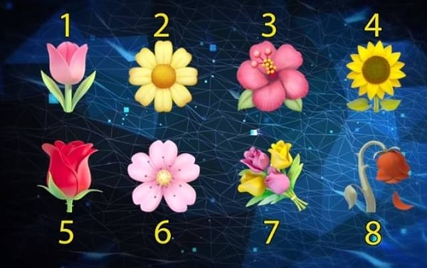 Взгляните на цветы, изображенные здесь, и выберите тот, который вам больше всех нравится.