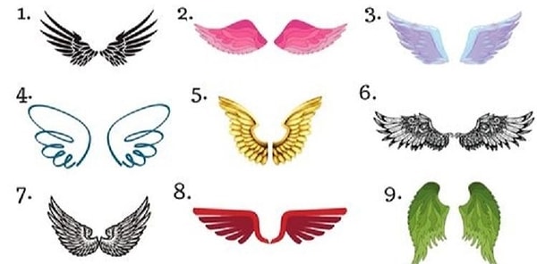 Выберите крылья, которые, как вам кажется, созданы специально для вас.