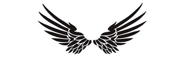 Вы выбрали крылья справедливости