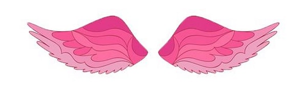 Вы выбрали крылья любви