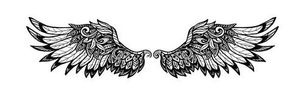 Вы выбрали крылья мечты