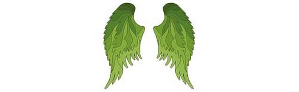 Вы выбрали крылья успеха