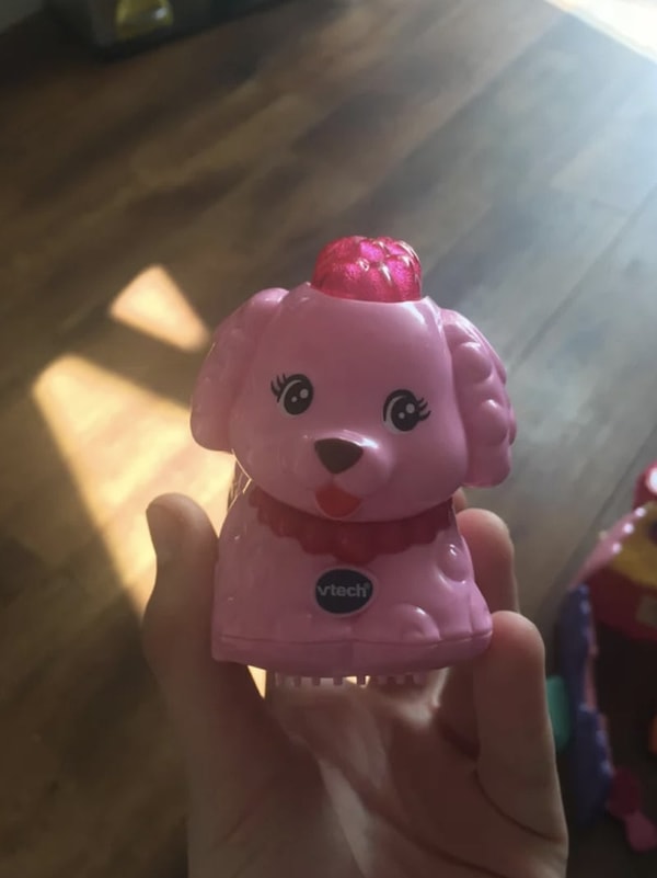 12. Прическа этой собачонки напоминает мозг...