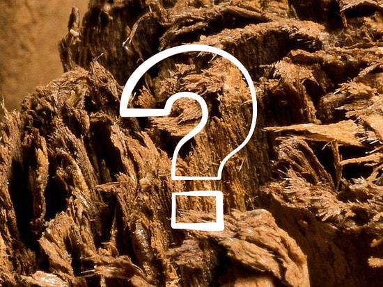 Тест: Угадаете ли вы, что за предмет в увеличенном изображении?