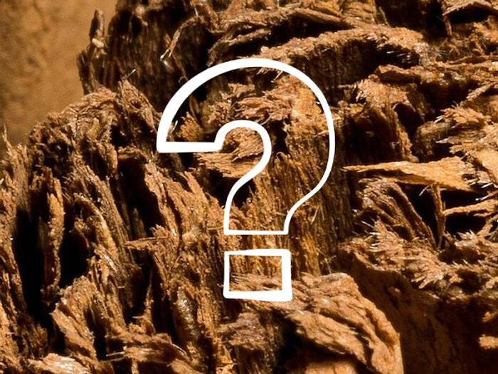 Тест: Угадаете ли вы, что за предмет в увеличенном изображении?