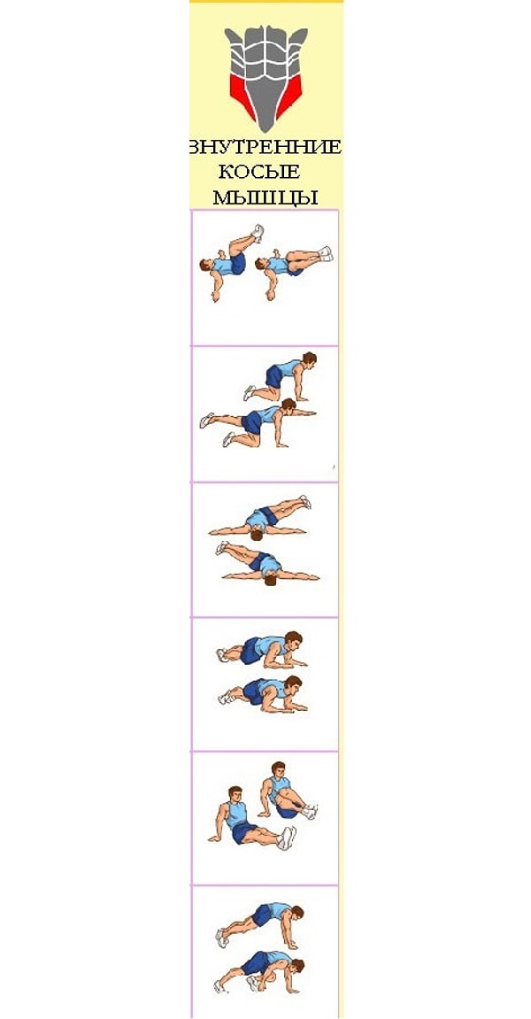 6. Внутренние косые мышцы