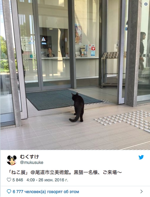 1. Начиная с лета 2016 года, в художественном музее "Ономити" состоялась фотовыставка домашних животных.