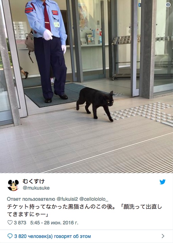 3. Возможно ему бы это удалось, но его заметили сотрудники музея.