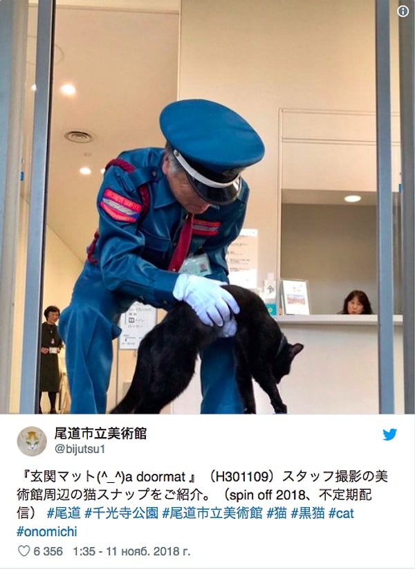 4. С тех пор между музеем и котом началось противостояние.