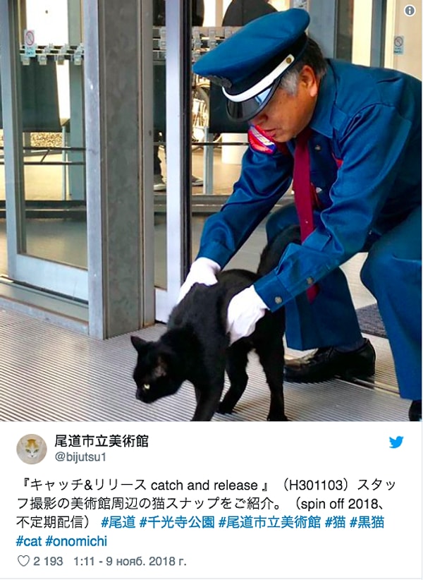 5. Раз за разом он пытался попасть в комплекс, и раз за разом его встречала охрана.