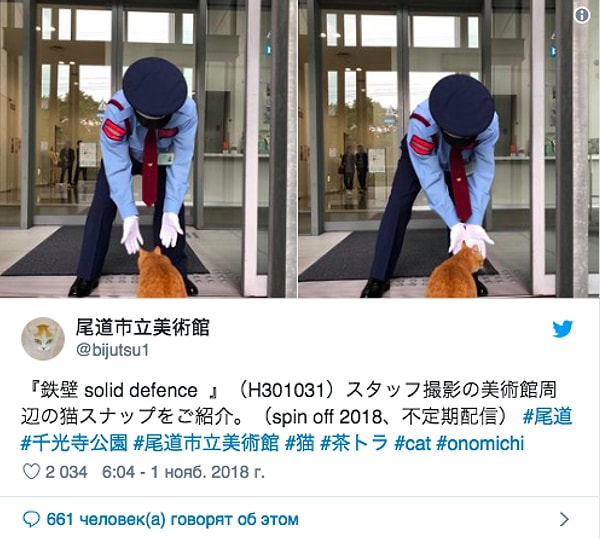 7. Немного позже у животного появился напарник — рыжий кот, который тоже захотел попасть в галерею.