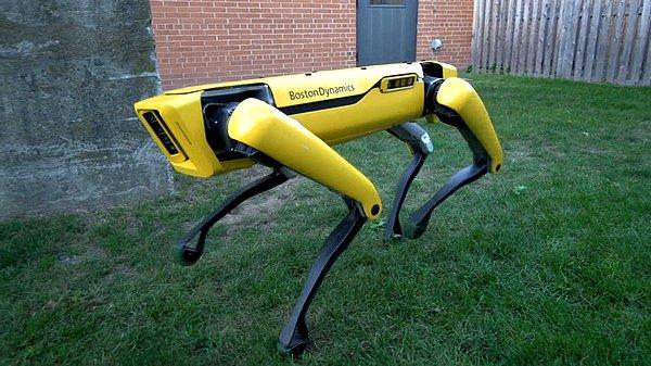 13. Boston Dynamics’in 2019 yılında satışa çıkacak robot köpeği SpotMini sahibi olmanız işten bile değil. Fiyatı henüz açıklanmadı ama 70 milyon TL ile de alınır herhalde diye düşünüyoruz.