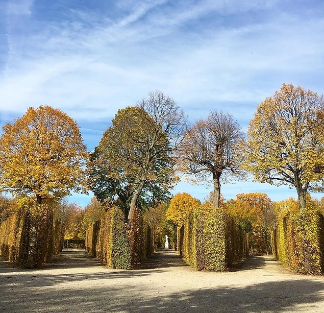 Schönbrunn'da bir bahçe.