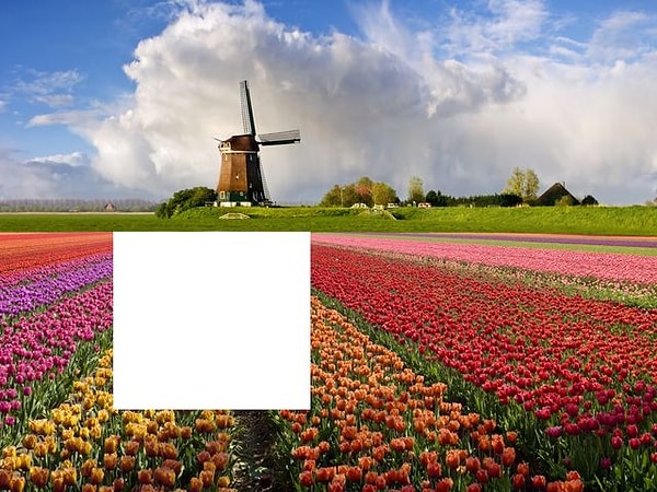 1. Начнём! Что пропущено?