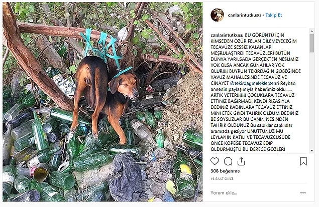83. Bitmiyor, bitmiyor! - Ağaca bağlanan köpeğe tecavüz iddiası