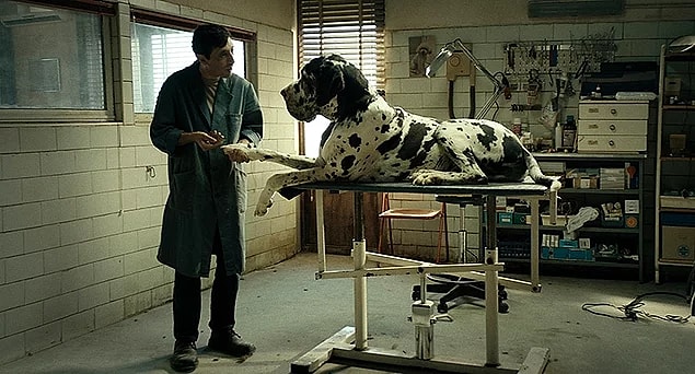 10. Dogman (2018)