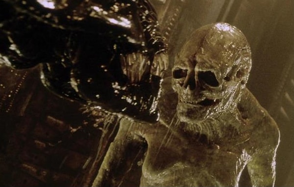 5. Что скажете?