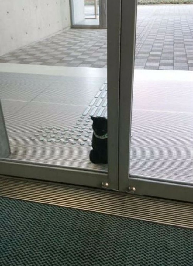 Yet, their path is always blocked by security guard.