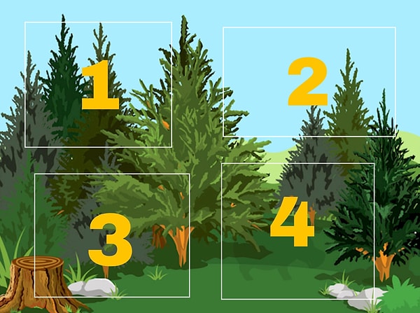 1. Итак, в какой части этой картинки есть животное?