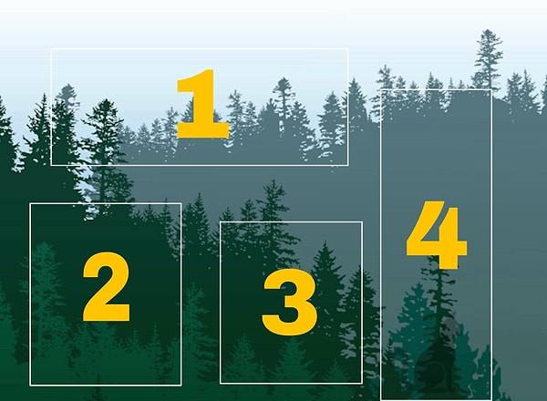 2. Теперь отыщите животное в лесу: