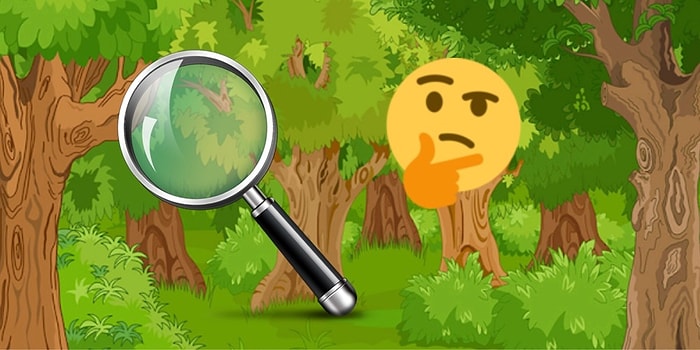 Тест: На 10-ти картинках мы спрятали животное. Получится ли у вас его найти?