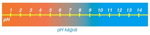 8. Hangisi turnusol kağıdını kırmızı renge çevirir?