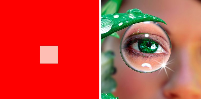 Тест, который под силу пройти лишь людям, у которых нет проблем со зрением