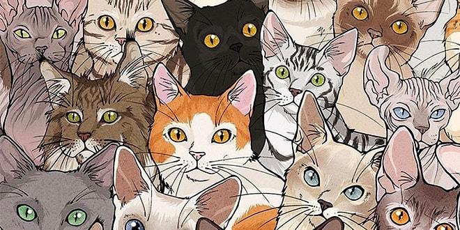 Kedi Sahiplenmek İsteyen Herkesin Muhtemelen Yaşayacağı Durumları Çizimleriyle Anlatan Sanatçıdan 20 Enfes İllüstrasyon