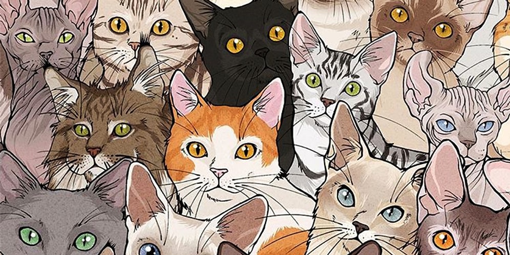 Kedi Sahiplenmek İsteyen Herkesin Muhtemelen Yaşayacağı Durumları Çizimleriyle Anlatan Sanatçıdan 20 Enfes İllüstrasyon
