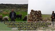 Sen Çok Yaşa Mehmet Abi! 23 Yıldır Leylekler İçin Yuvalar Yapan, Köylülerin ‘Değişik Biri’ Dediği Diyarbakırlı Çoban