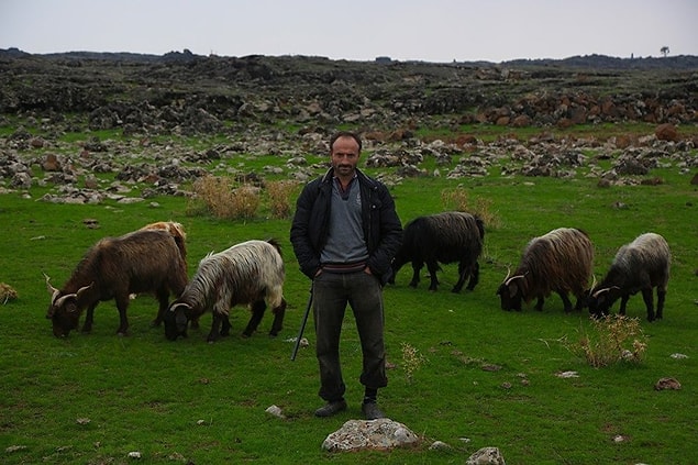 Elinden her iş gelen, leylekler için 10 kiloluk balyozu ile kayaları parçalayan ve sırtında taşıyarak yuvalar yapan Mehmet Abi’yi ayakta alkışlıyoruz! Sen çok yaşa güzel insan!
