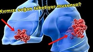 Akciğer Kanseri Riskini En Aza İndirebilmek İçin Uygulamanız Gereken 15 Önemli Tavsiye