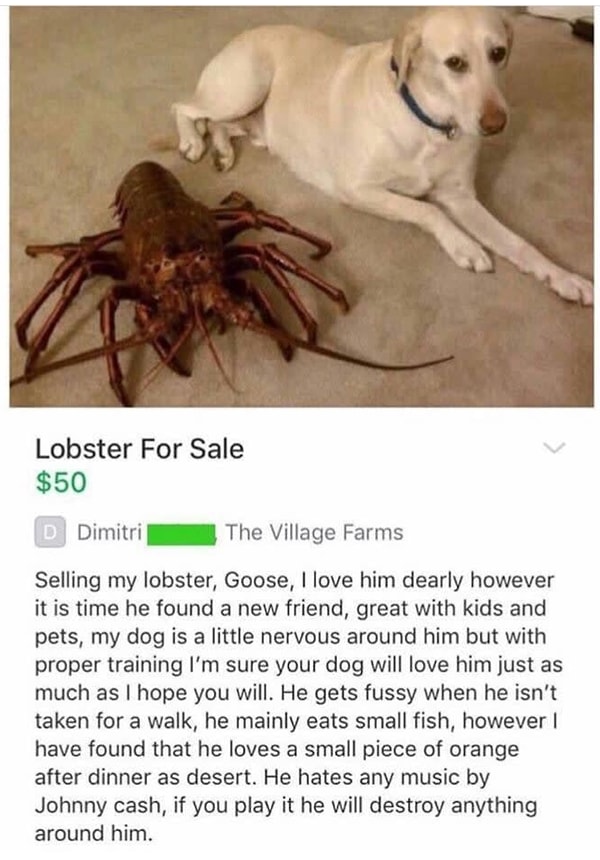 3. Лобстер, не любящий творчество Джонни Кэша: