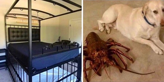 Хоть стой, хоть падай: 17 интернет-объявлений в стиле «без комментариев»