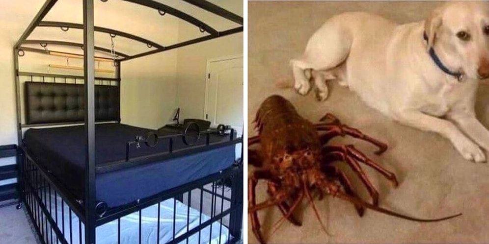 Хоть стой, хоть падай: 17 интернет-объявлений в стиле «без комментариев»