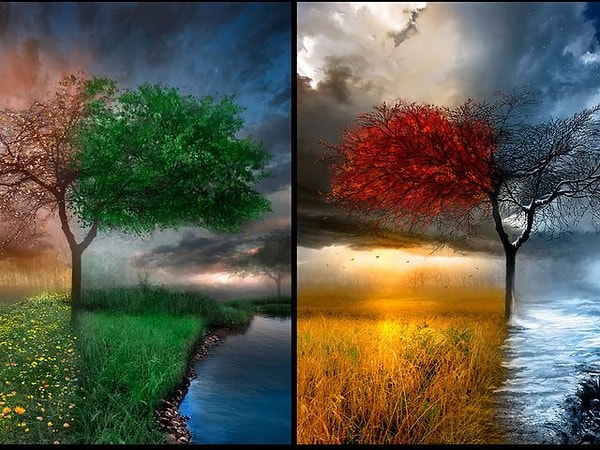 2. Какой у вас любимый сезон?