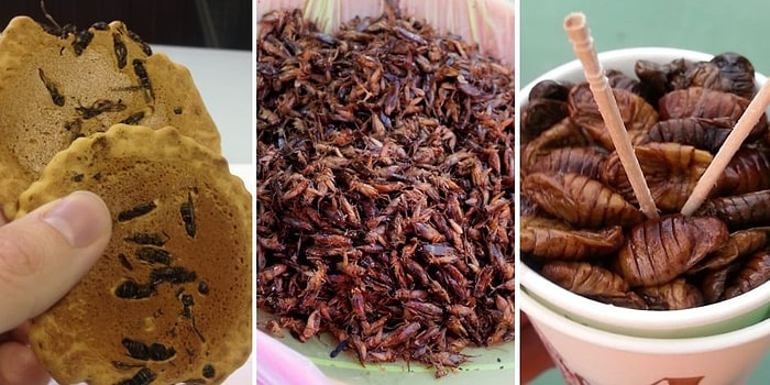 Пробовать или нет - решать вам: 10 блюд из насекомых, которые стоит отведать