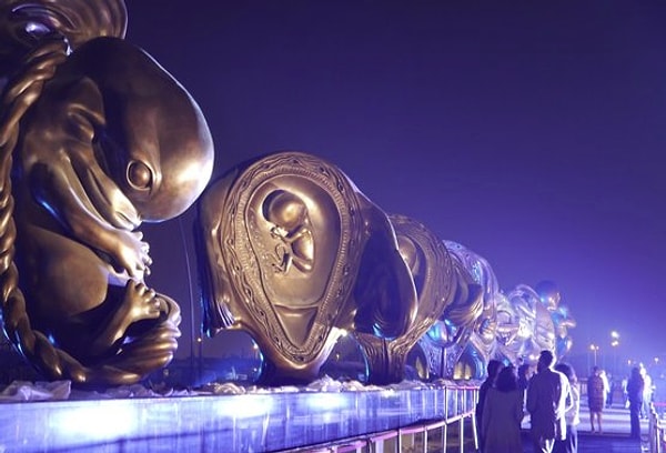 Дэмиен дал проекту название - "Удивительное путешествие".