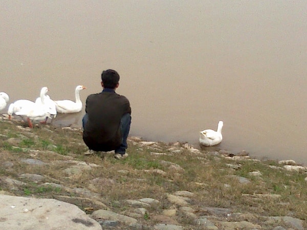 5. Когда вы полностью расслаблены, что вы ощущаете?