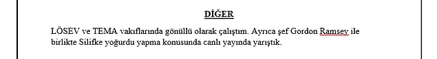 Diğer bilgiler kısmı da, CV'ye yazılmaya uygun ve bu başlıklara uymayan bilgilerinizi yazmanız için kullanabilirsiniz.