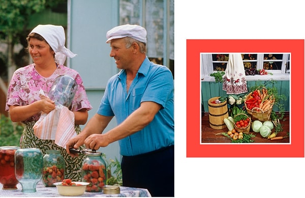 3. Выращивание дачного урожая