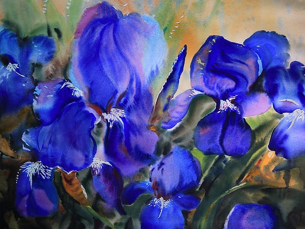 8. Вот и последний вопрос. Что вы здесь видите?