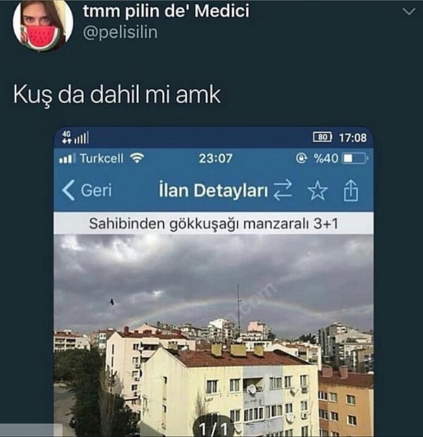 9. Kuş da sevdaya dahil mi?