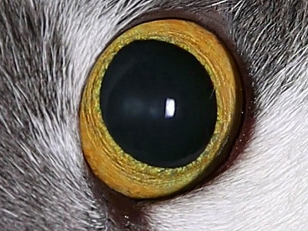 4. Что думаете?