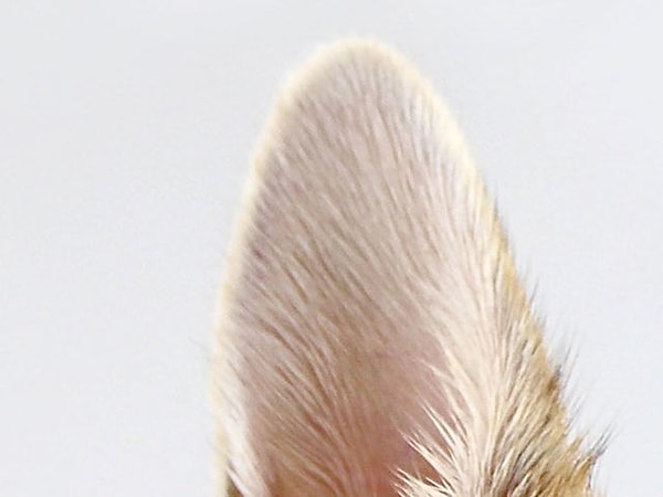 5. Это определенно...