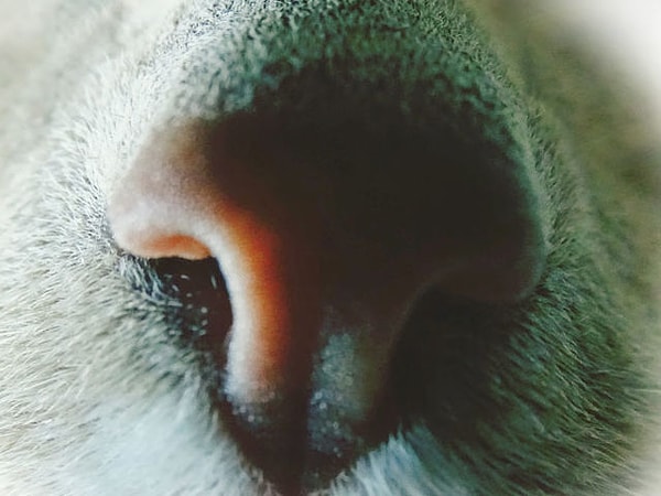 7. Ну что скажете?