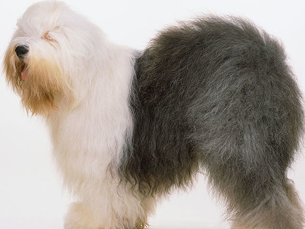 Посмотреть ответ: